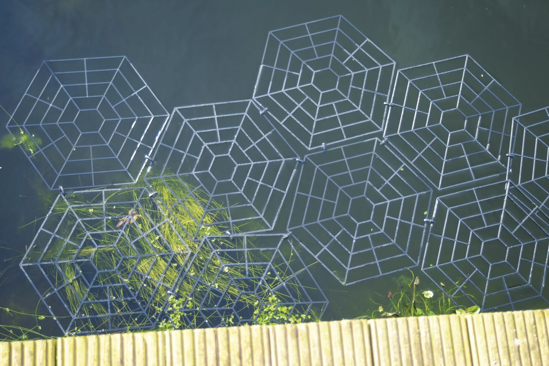 Vogelschutz-Teichgitter 20er Set - 8