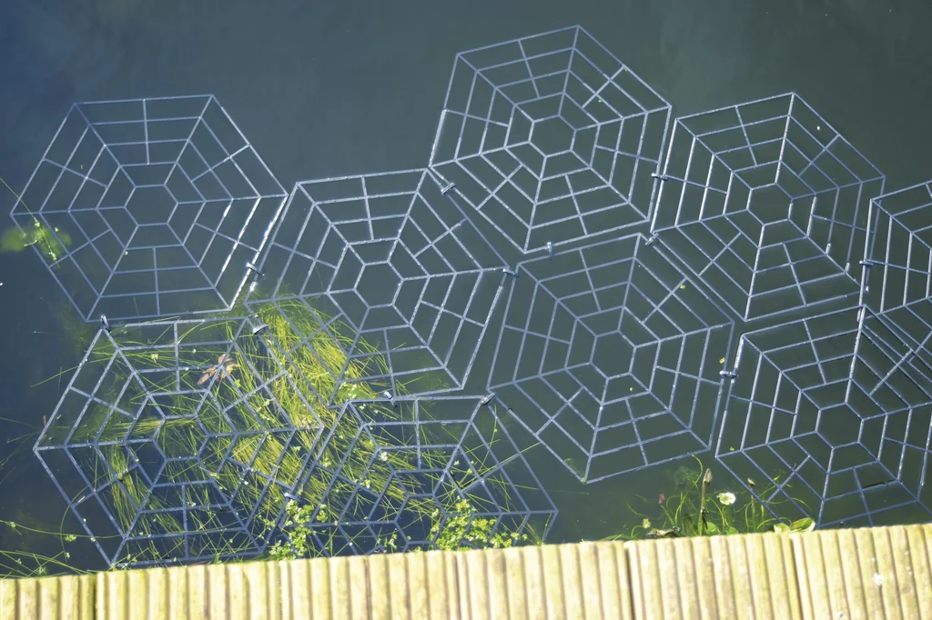 Vogelschutz-Teichgitter 20er Set - 8