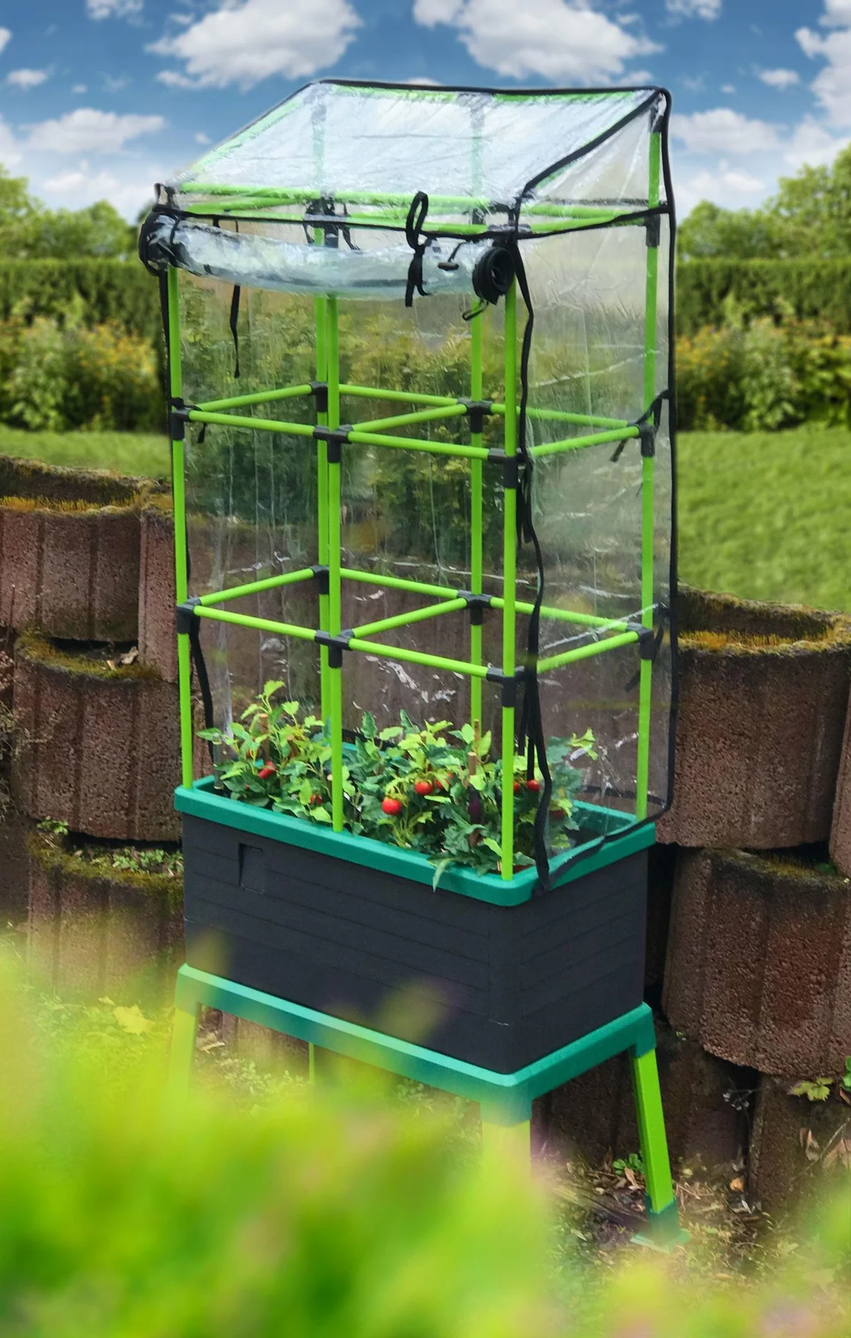 Abdeckhaube für CityJungle - 5