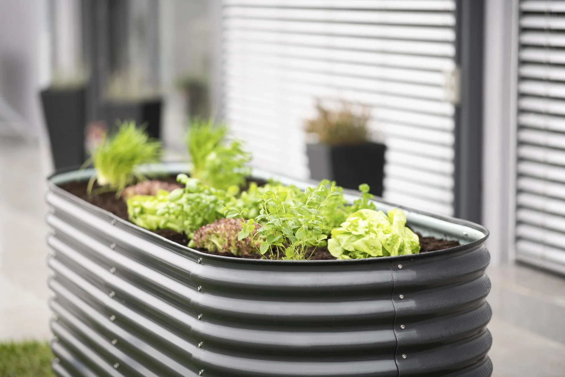 Metall Hochbeet Oval anthr. 240 x 80 x 82 cm - 12