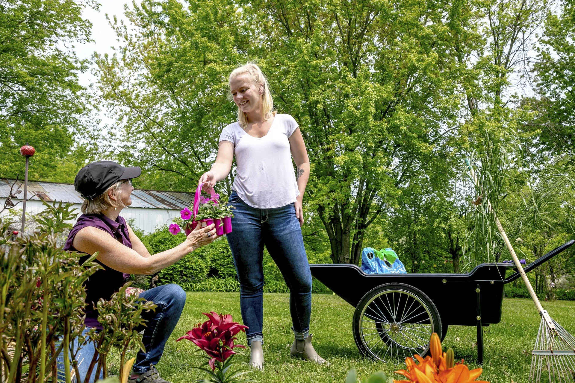 Premium Schubkarre schwarz - 12