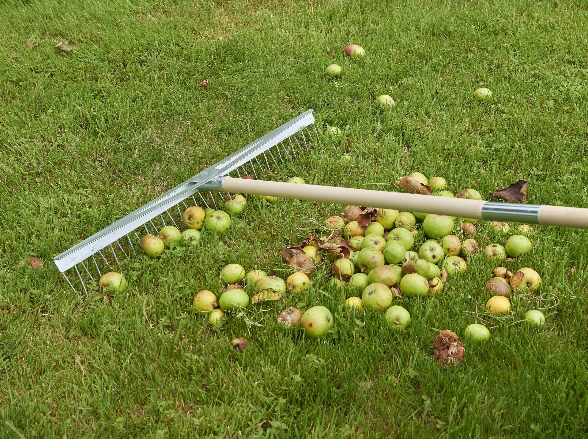 Multi V-Rechen, 68 cm Arbeitsbreite! - 4