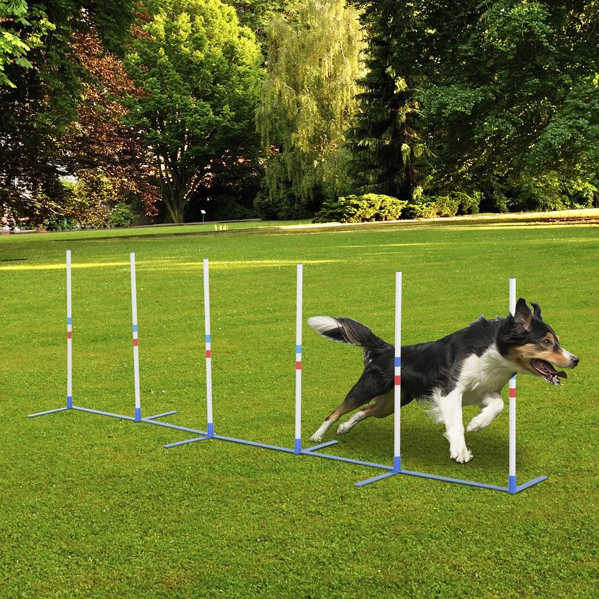 Hunde Slalomstangen Agility Training für Haustiere Hundetrainigsset Inklusive 600D Tasche Leicht zu tragen Polyester Kun - 4