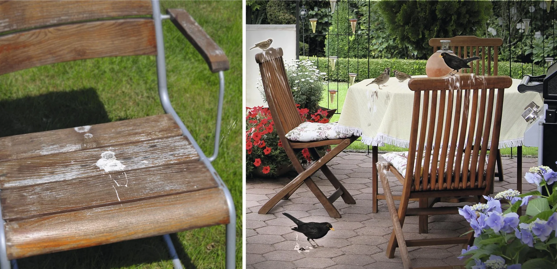 Solar Vogelabwehr - 10