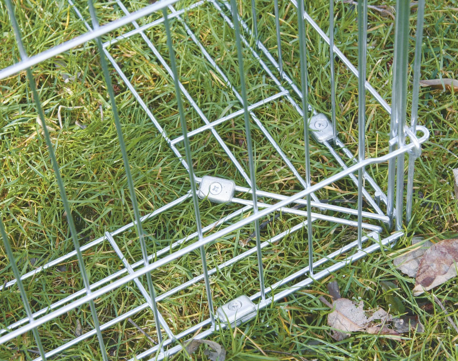 Freilaufgehege mit Ausbruchsperre - 3