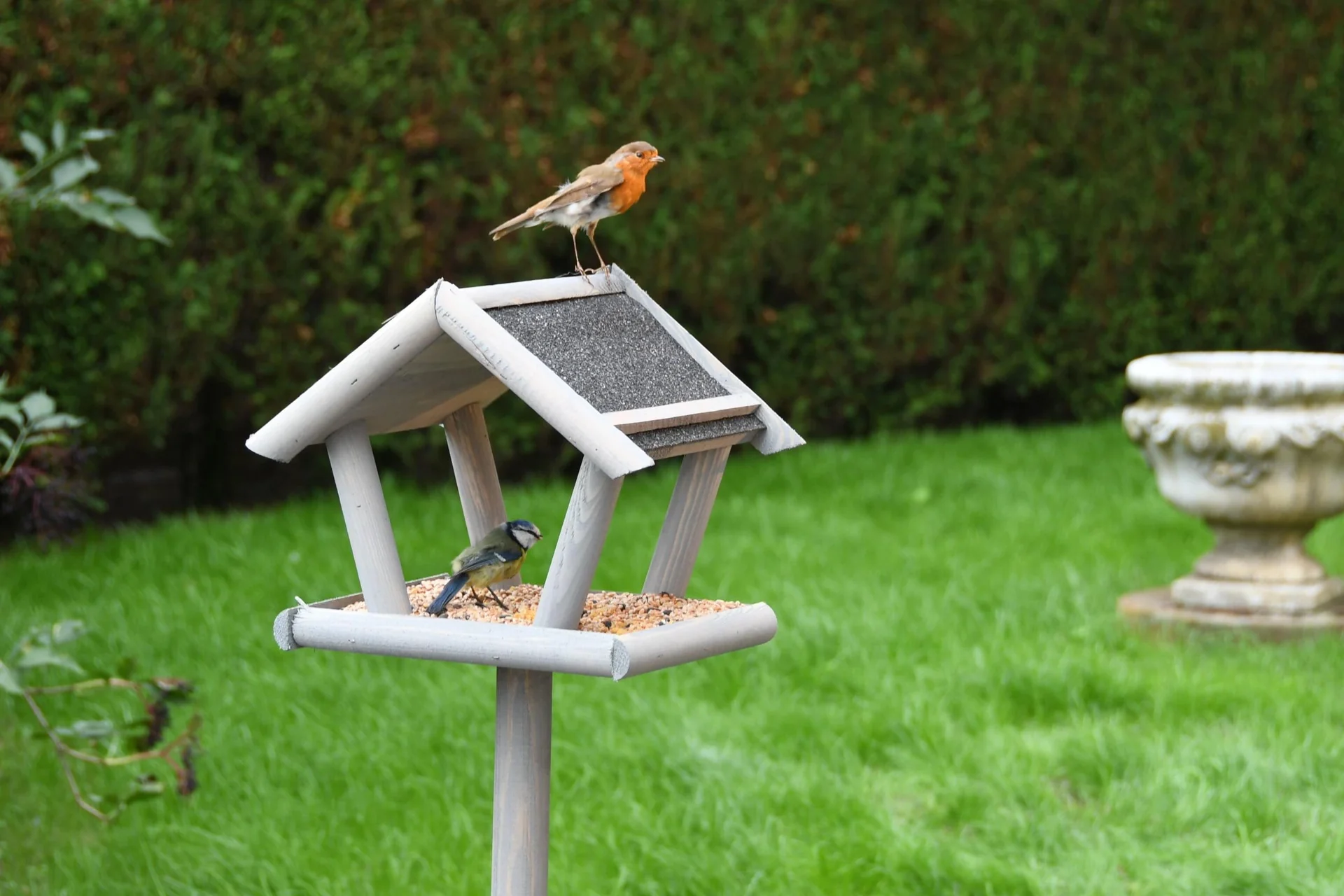 Schweden Vogelfutterhaus auf Ständer schwedengrau lasiert - 6