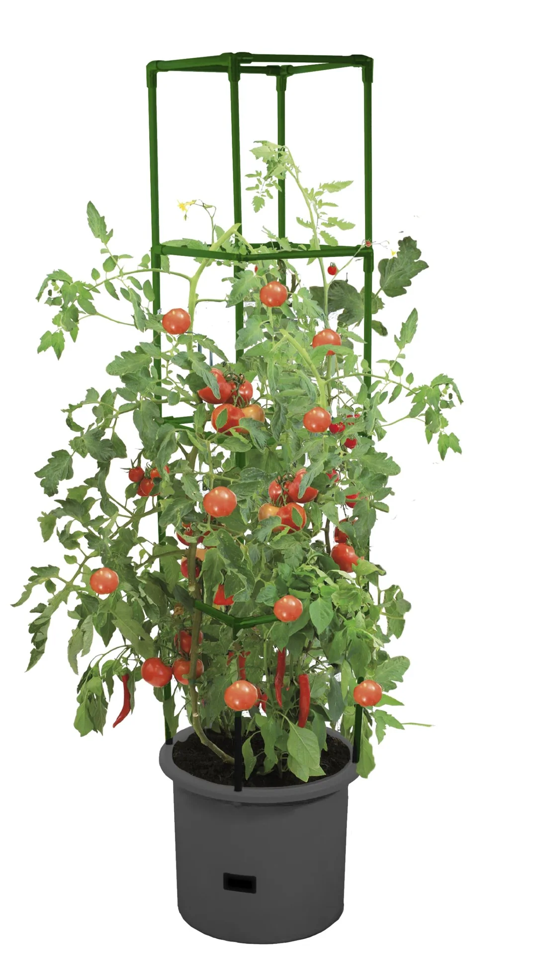 Growchampion Pflanzenchampion "Anthrazit" - 3