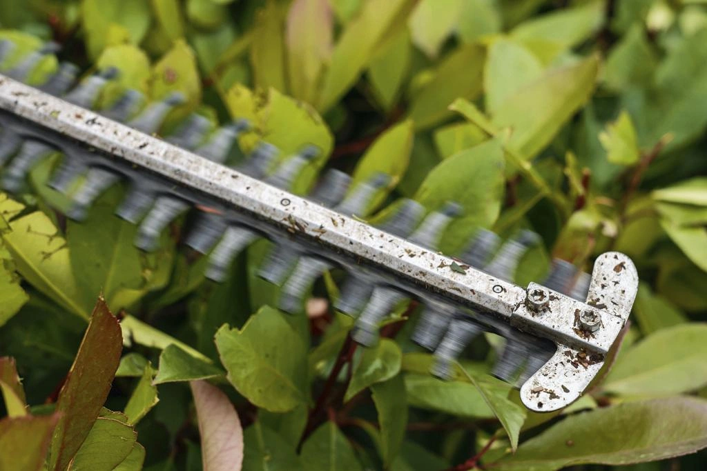 Akku-Heckenschere HSA 56, Akku System COMPACT, 45cm Schnittlänge, ohne Akku und Ladegerät - 11