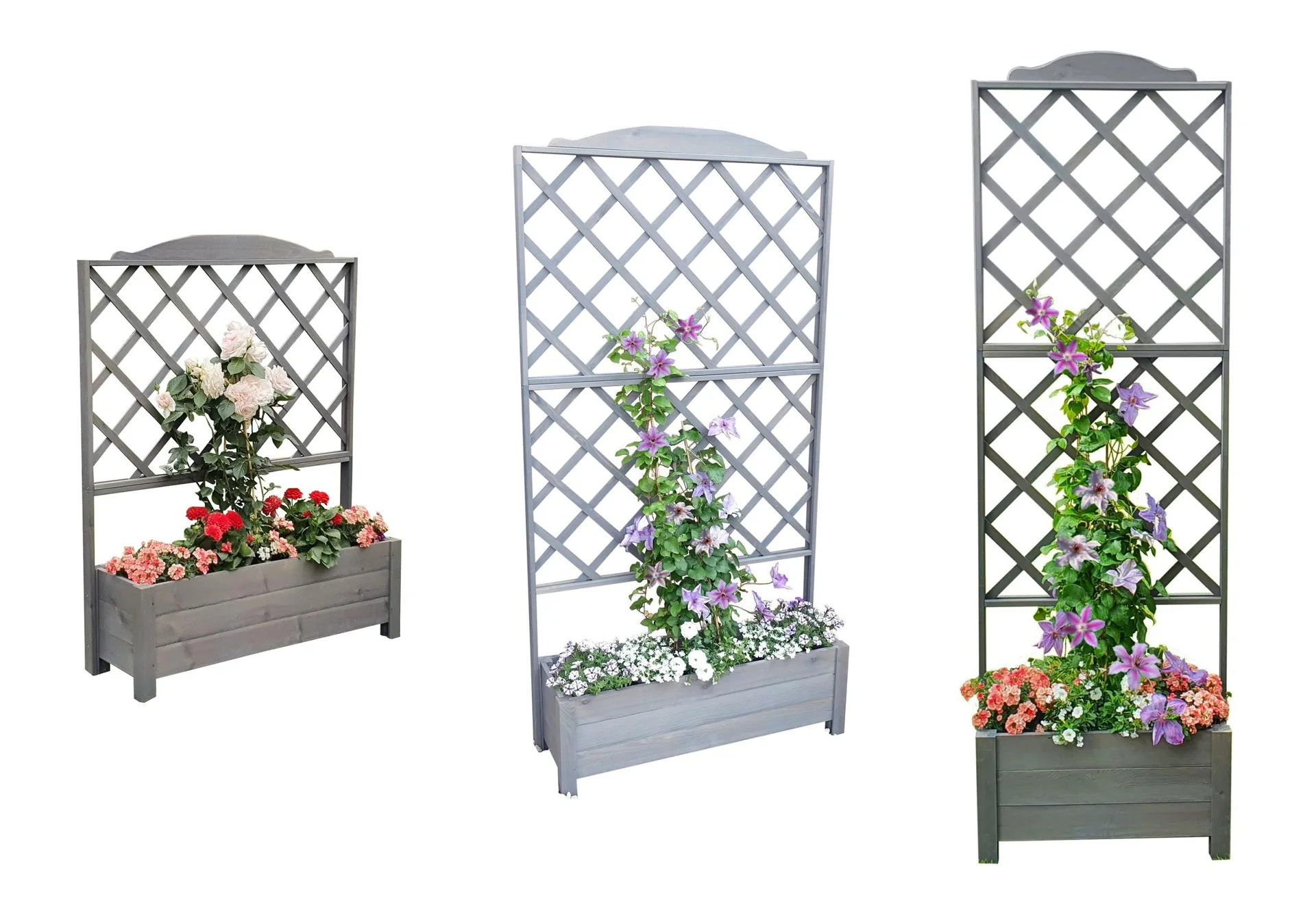 Rankkasten Botanica 69 x 210 cm, grau - 3