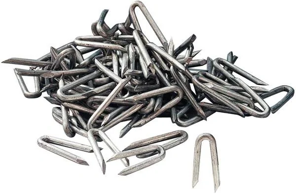 Krampen verzinkt 38 x 3,8 mm, 5 kg - 1