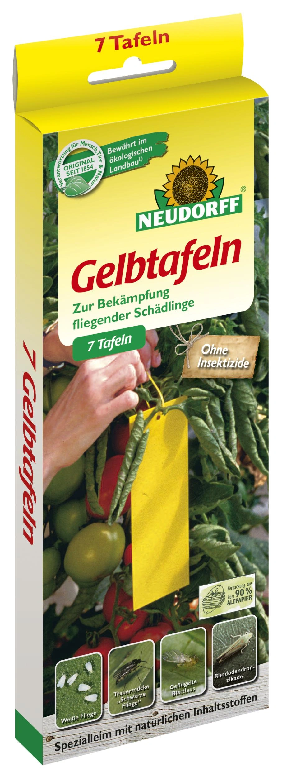 Gelbtafel kleinformat 7,5 x 20 cm - 7 Stück - 2