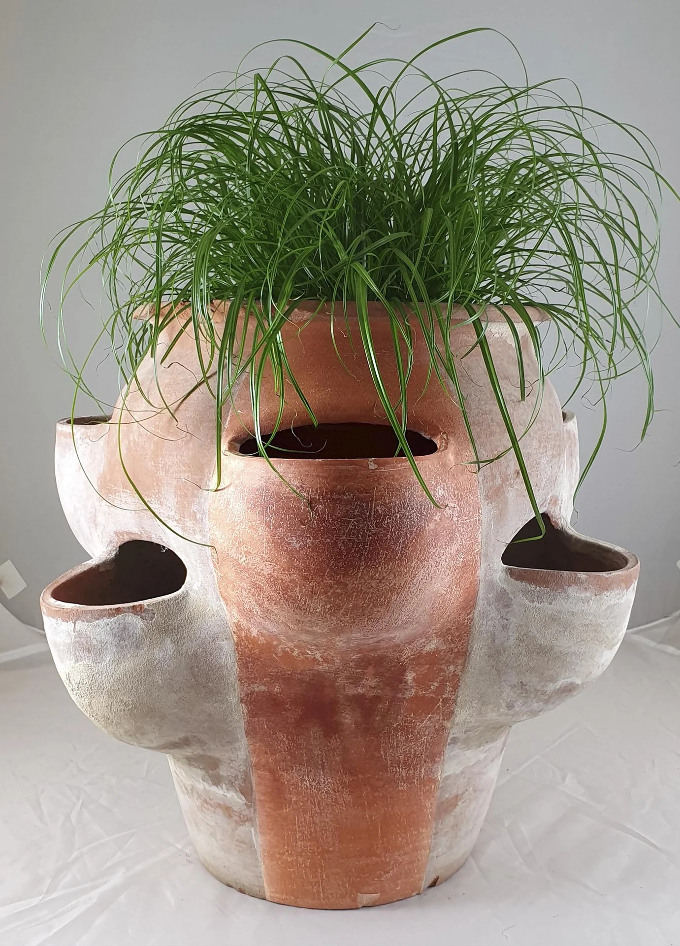 Öko-Auffrischer mit Sprühkopf, 750 ml - 12