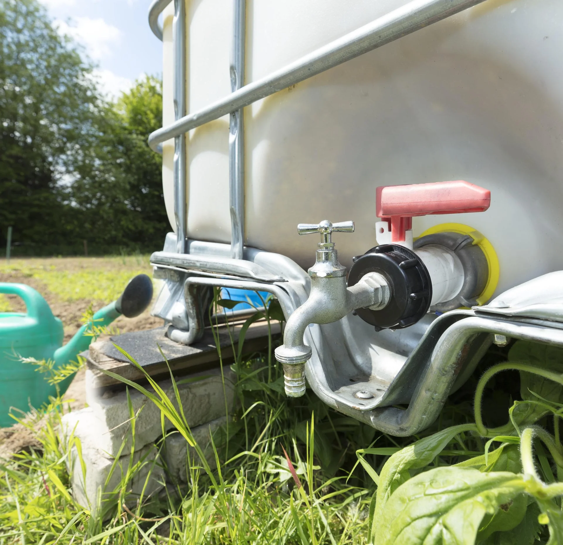 IBC Kappe S60 x 6 Grobgewinde mit IG 3/4" - 3