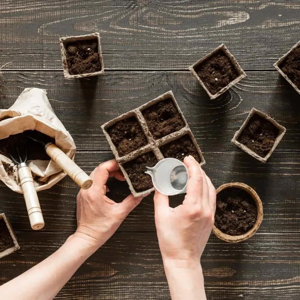 Cultivation Tray 6 x 6 cm, 8 Octagonal Pots per Tray, Compostable-0