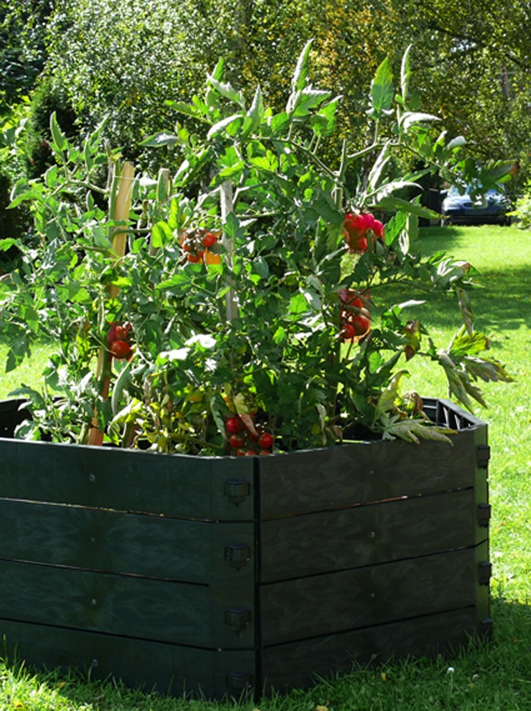 KHW SK 550 Hochbeet mit Tomaten
