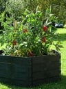 KHW SK 550 Hochbeet mit Tomaten