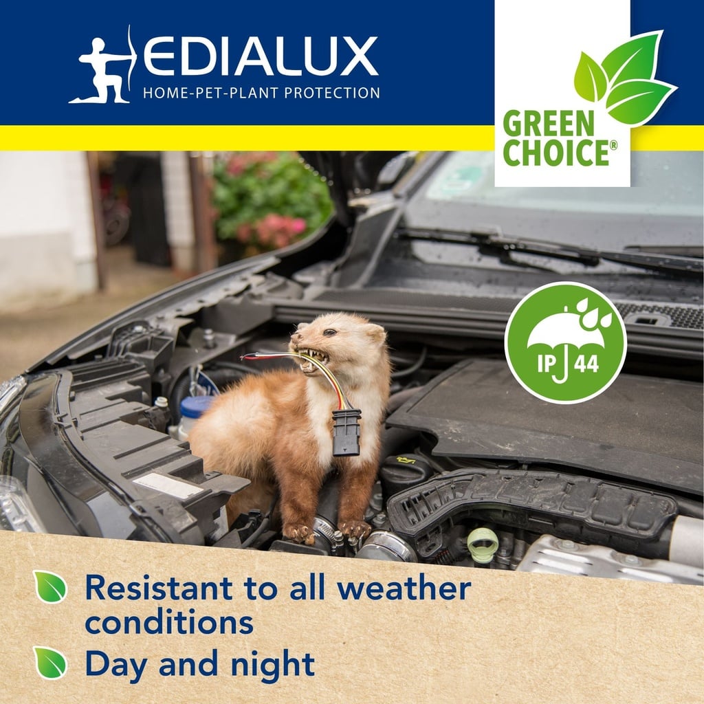 edx-1112000100_info3-en.jpg