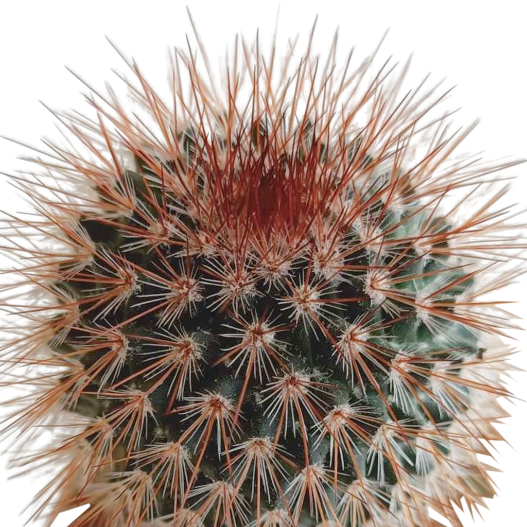 Bild 7