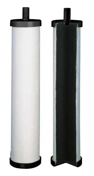 IZS-31155-2