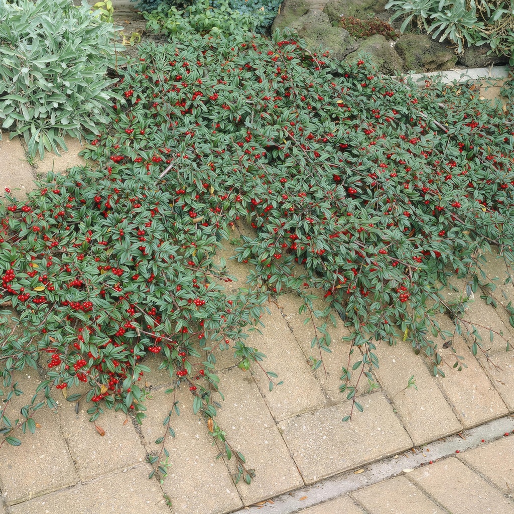 Bild 7