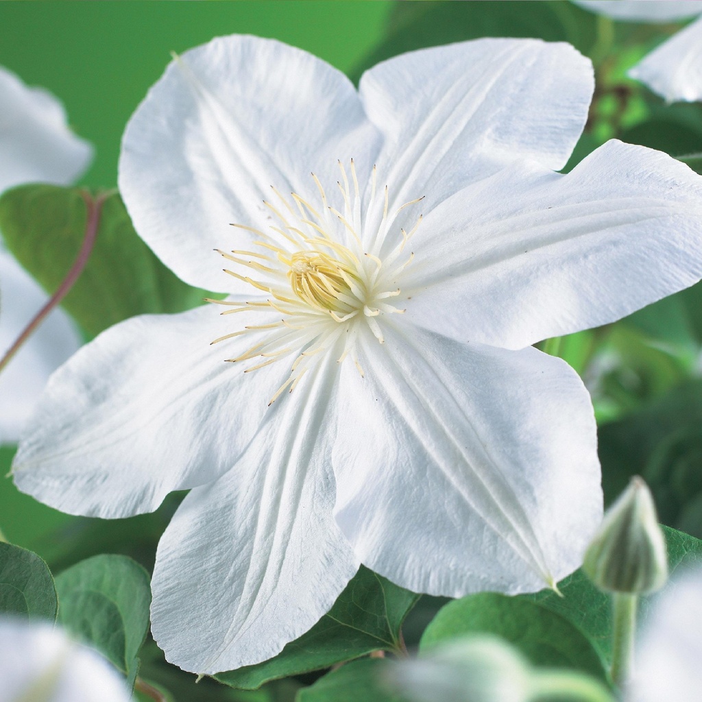 Bild 4