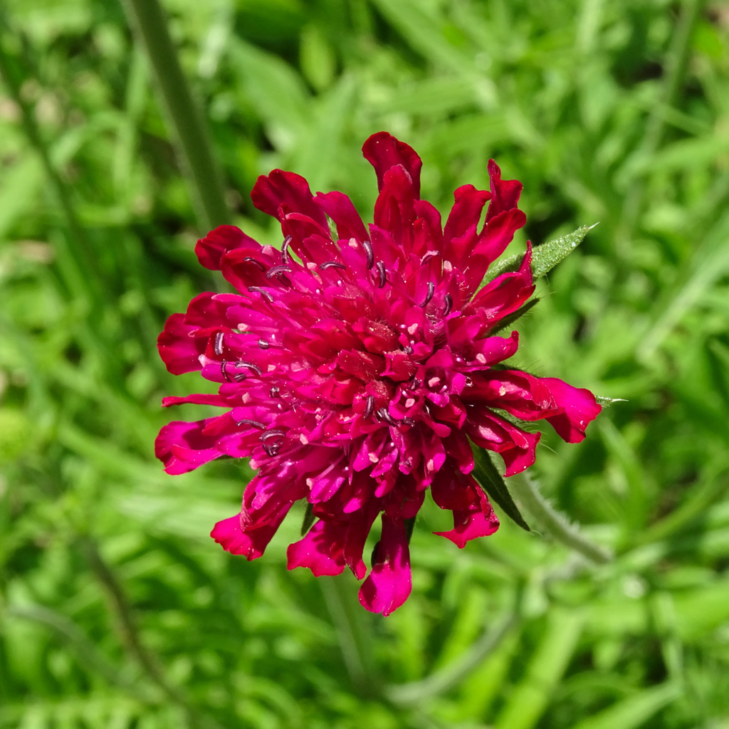 Bild 8