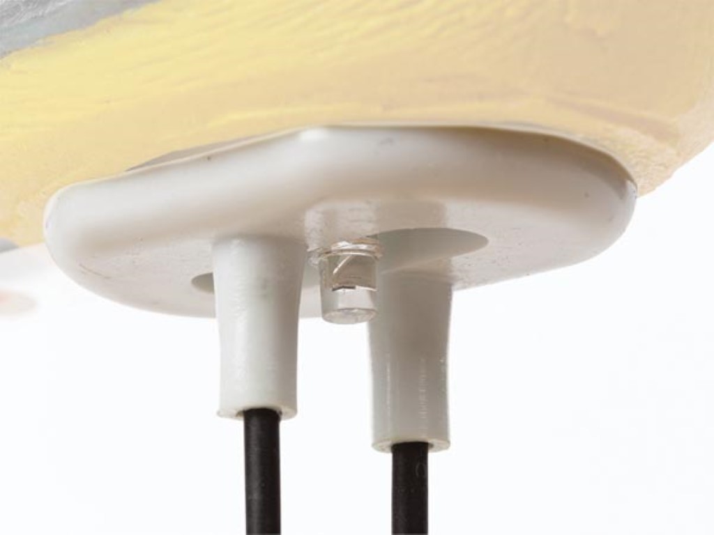 dtpp0x_detail.jpg