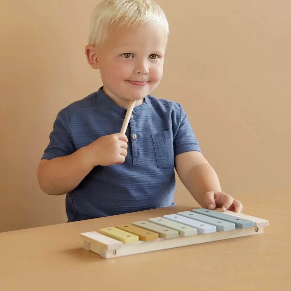 Little-Dutch-Kinder-Xylophon-blau-455135_3.jpg