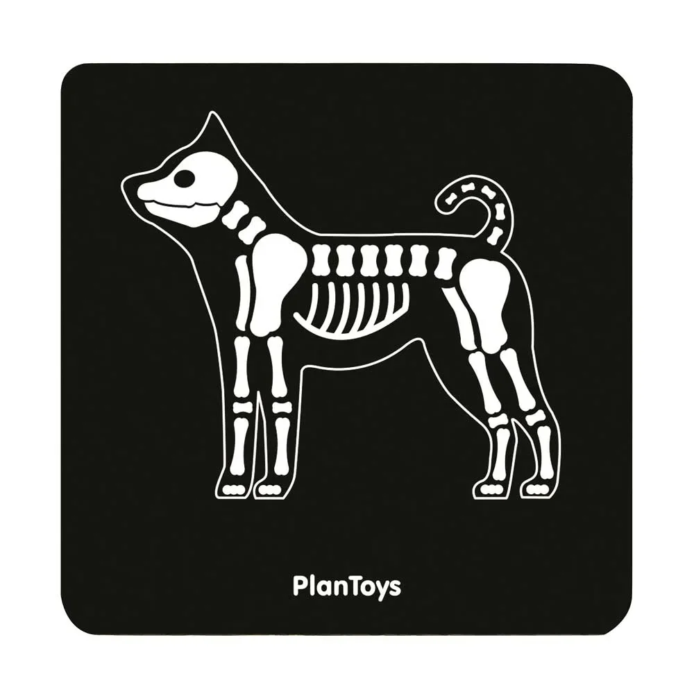 Plan-Toys-Tierarzttasche-465177_7.jpg