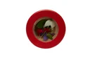 Plan-Toys-Kaleidoskop--Gummibaumholz-99930178.jpg