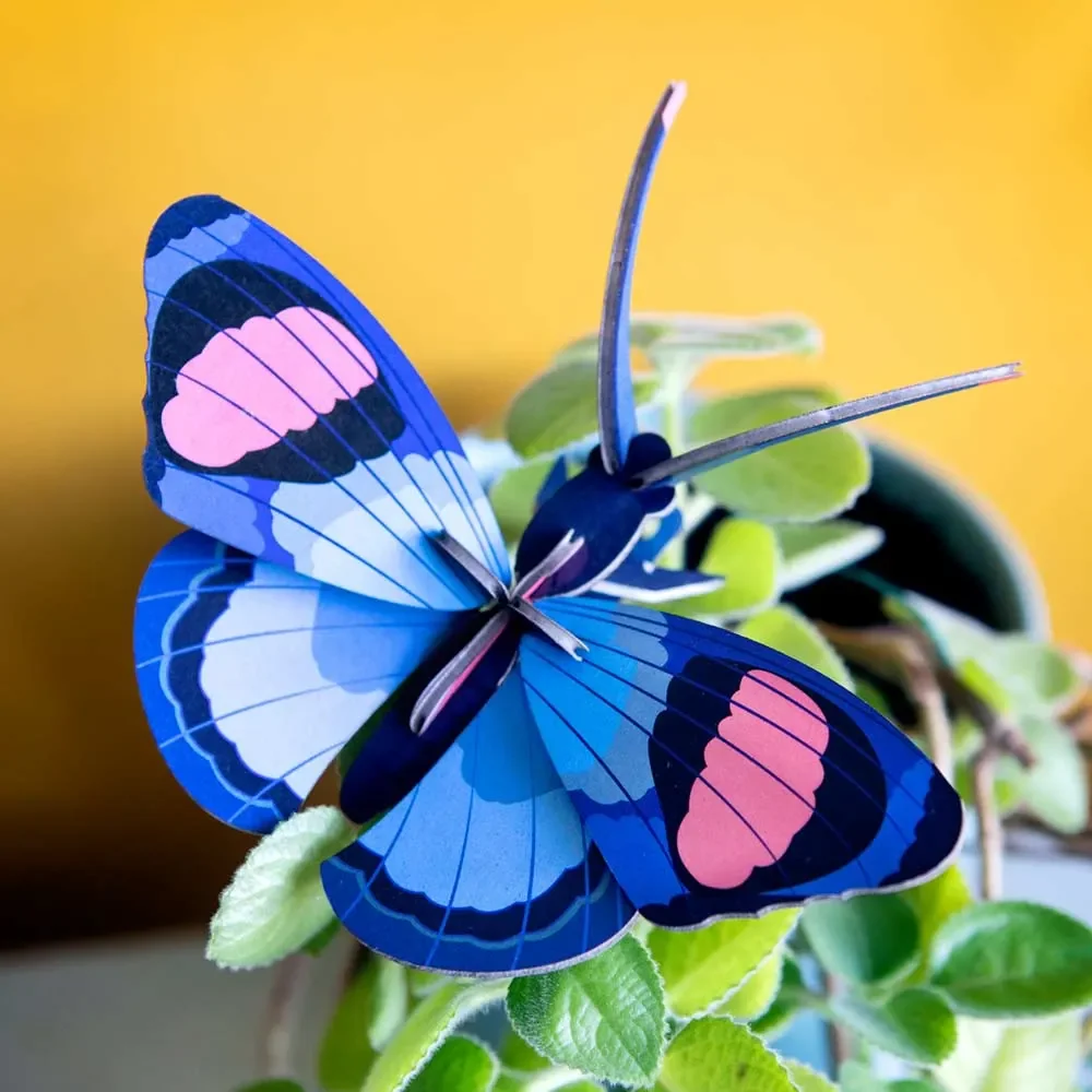 studio-ROOF-3D-Schmetterling-blau-Pappe-466434_3.jpg