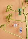 Studio-ROOF-Ornament--Bastel-Set--3D-Wandobjekt-Krabbe-99925071_4.jpg