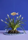 Studio-ROOF-Ornament--Bastel-Set--3D-Wandobjekt-Fisch-99925074_1.jpg
