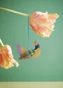 Studio-ROOF-Ornament--Bastel-Set--3D-Wandobjekt-Huhn-99925094_1.jpg
