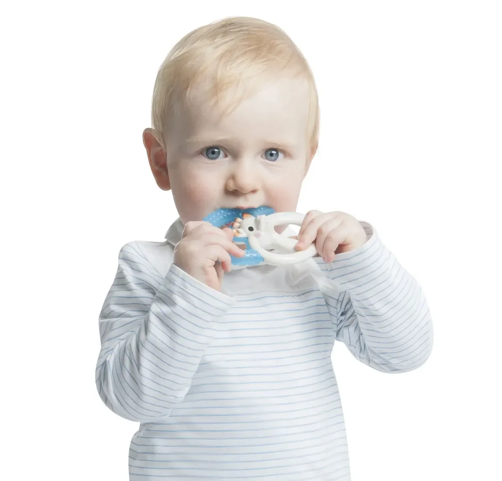 Sophie-la-girafe-Beissring--Ringrassel--Baby-Rassel-Giraffe---Fresh--99932219_2.jpg