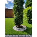 Ultra-Starke-Alu-Rasenkanten-5m-10m-15m-20m-25m-30m-10--100cm-oder-14x100cm-oder-24x100cm_14.jpg