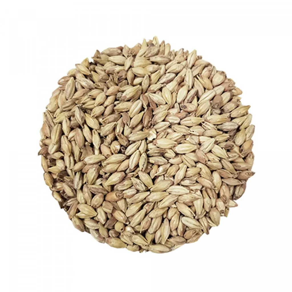 Castle-Malting-Abbey-Malz--Biermalz--Gerstenmalz-41--49-EBC--1-kg--verleiht-einen-kraeftigen-Geschmack-nach-gebackenem-Brot--Nuessen-und-Fruechten-452217_1.jpg