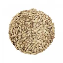 Castle-Malting-Abbey-Malz--Biermalz--Gerstenmalz-41--49-EBC--1-kg--verleiht-einen-kraeftigen-Geschmack-nach-gebackenem-Brot--Nuessen-und-Fruechten-452217_1.jpg
