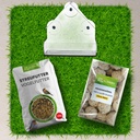 2-Basis-Set 'Start' Vogelfutter mit Futterhaus für die Fensterscheibe.jpg