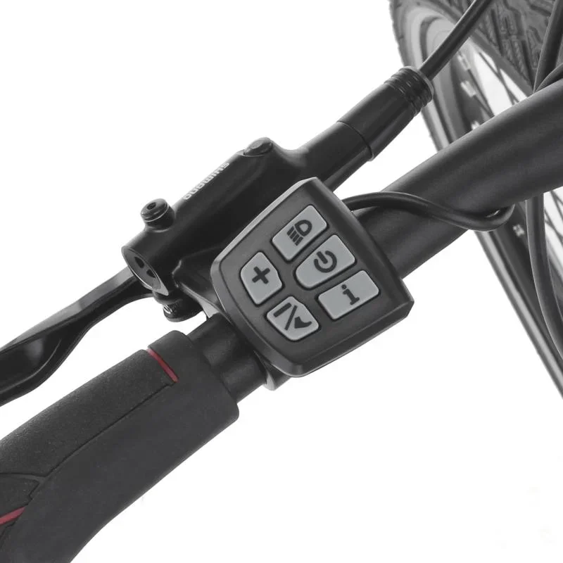 Damen E-Bike Trekking, 28 Zoll, Rahmengröße 44cm, 8-Gang Kettenschaltung, anthrazit matt, VIATOR 2.0 - 0