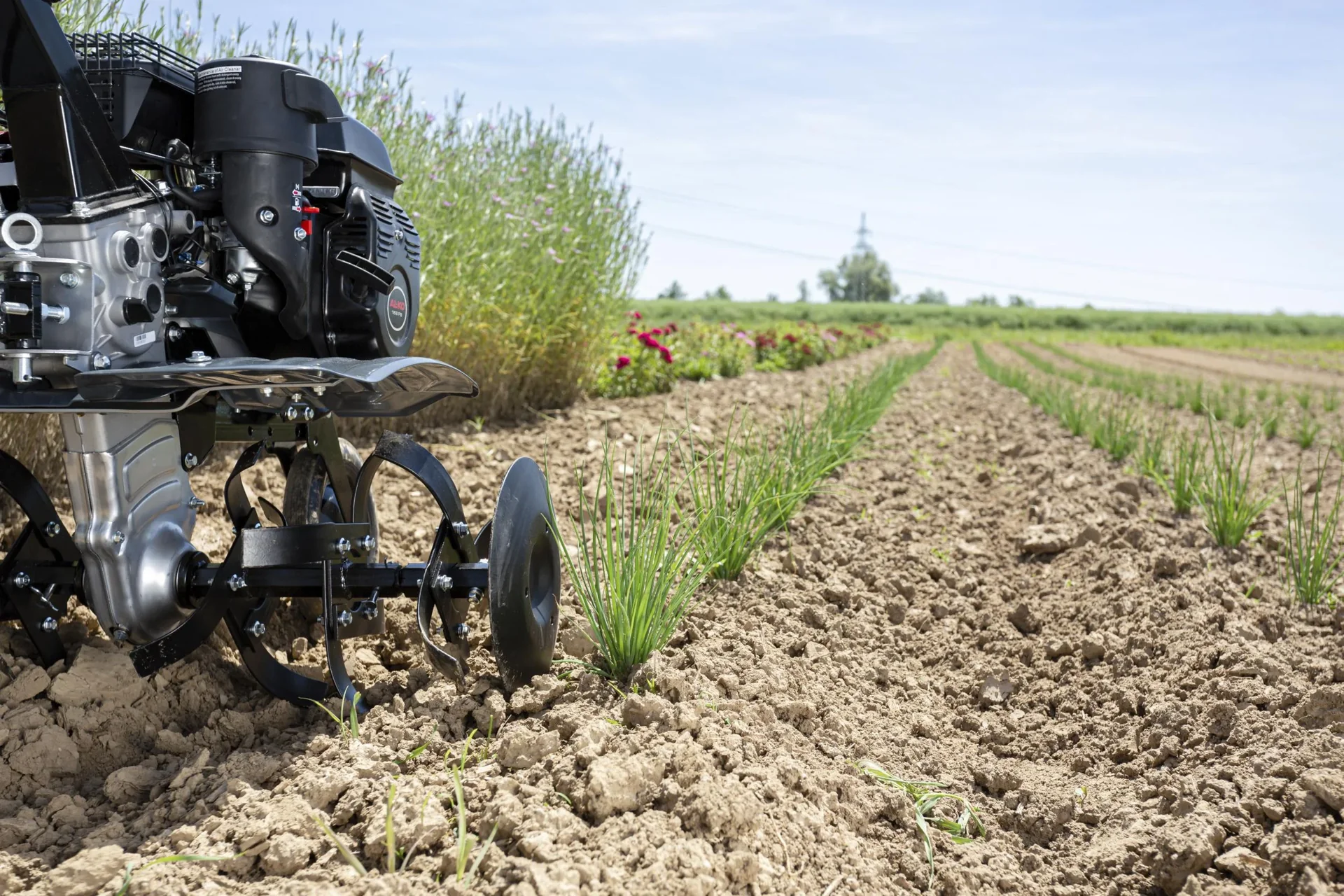 Benzin-Motorhacke MH 770 Comfort - 1