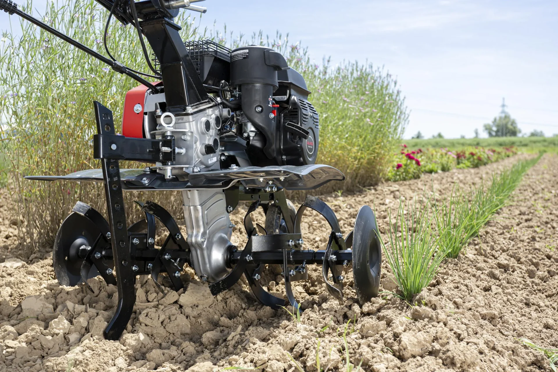 Benzin-Motorhacke MH 770 Comfort - 4