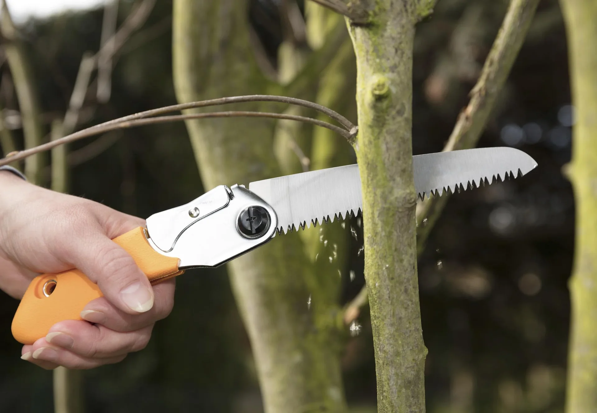 Astsäge klappbar 150 mm - 7