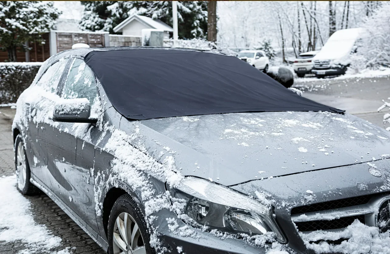 Frontscheibenabdeckung Sommer und Winter - 1