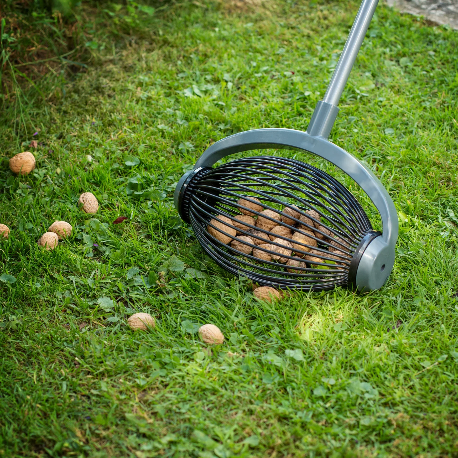 Rollsammler, klein mit Alu-Teleskopstiel - 4