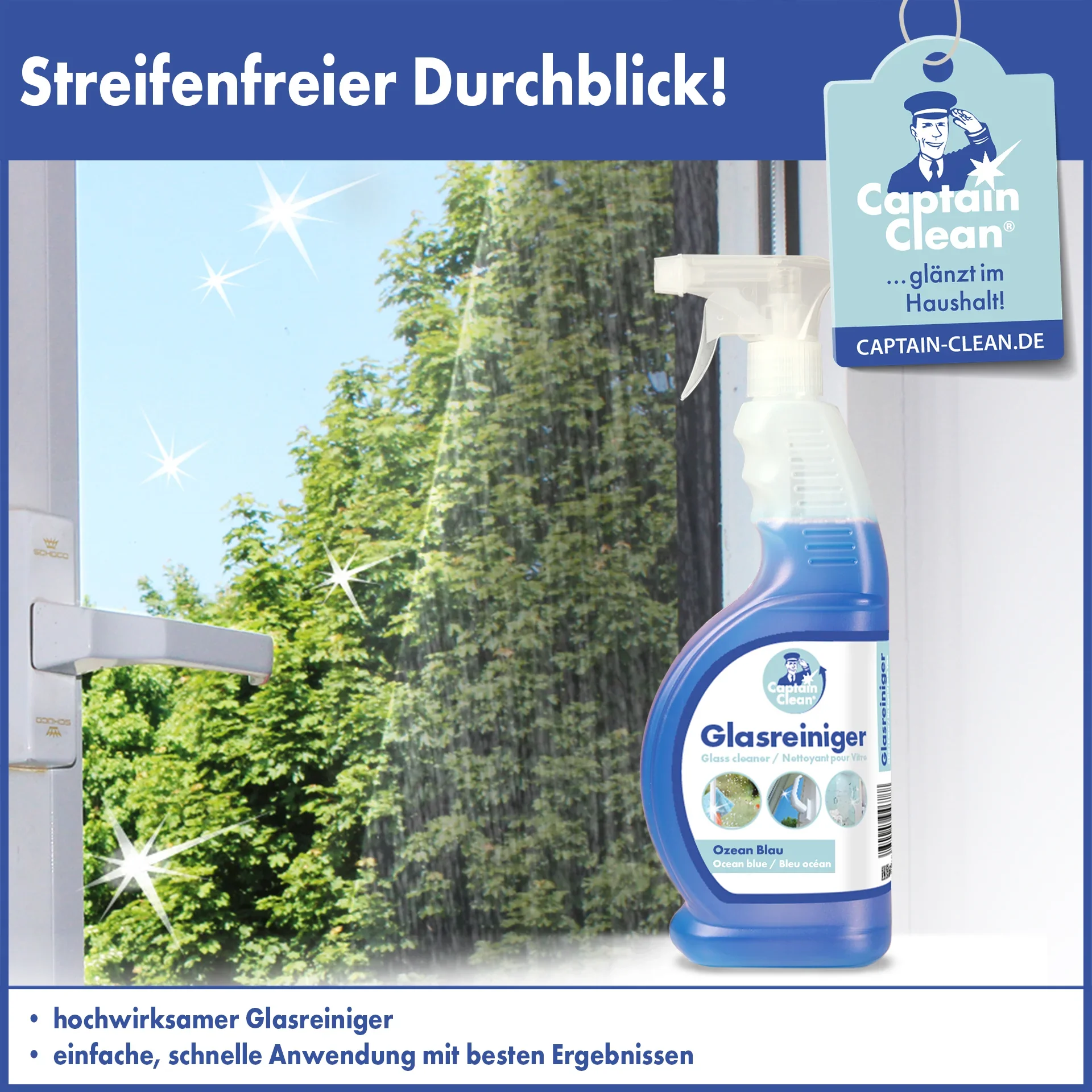 Glasreiniger, 650 ml - 2