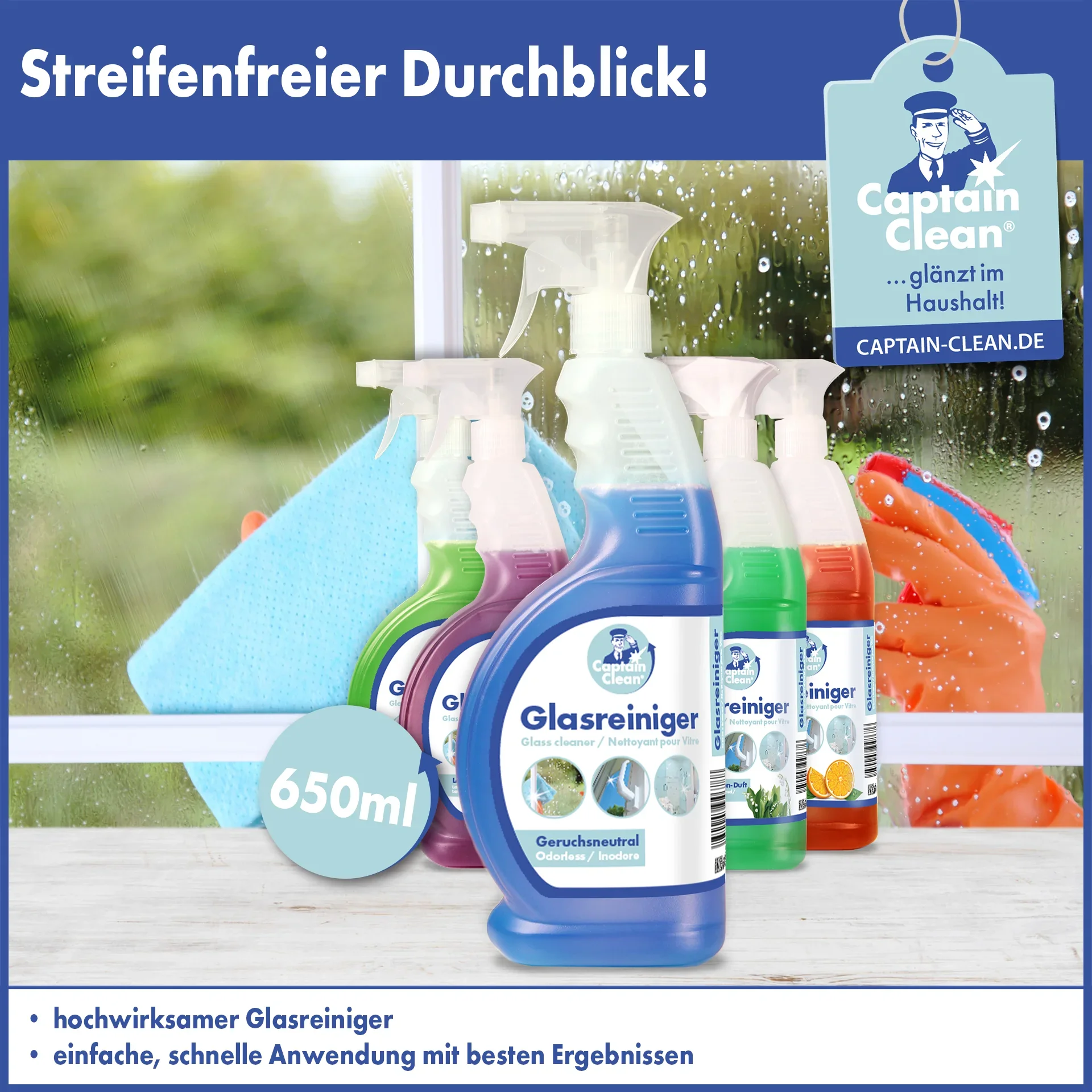 Glasreiniger, 650 ml - 3