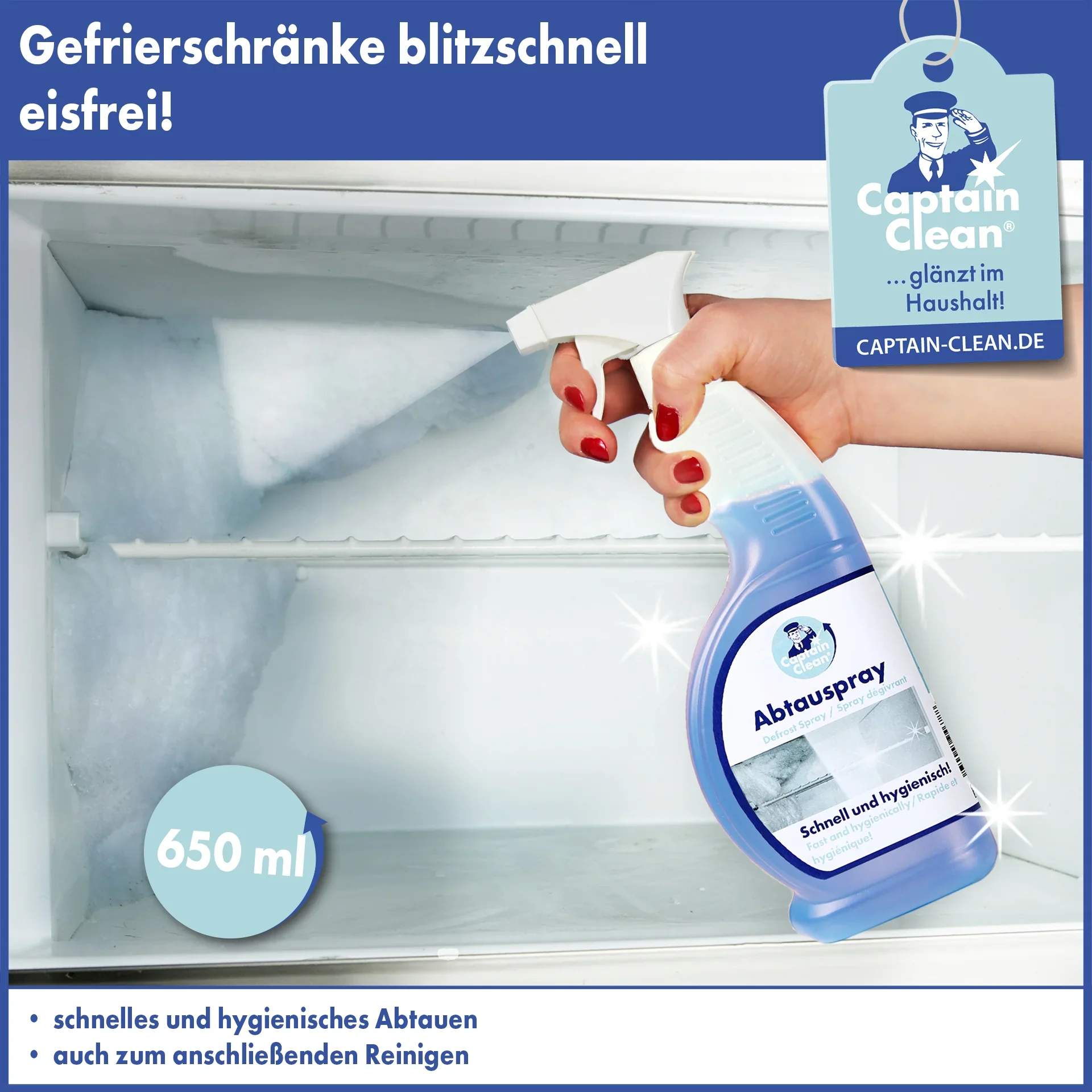 Abtauspray 650 ml - 6