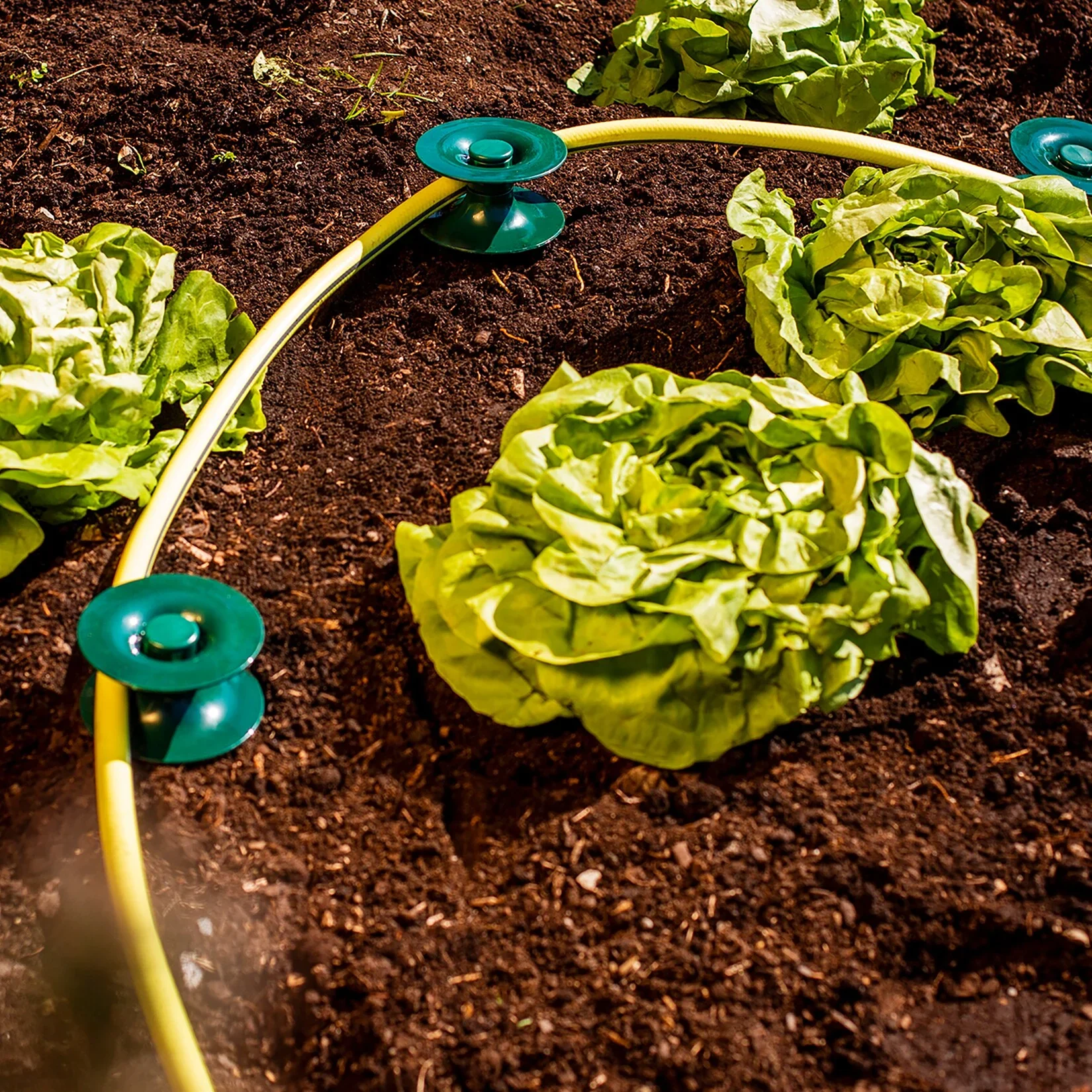 Schlauchführung 3 Stück - 1