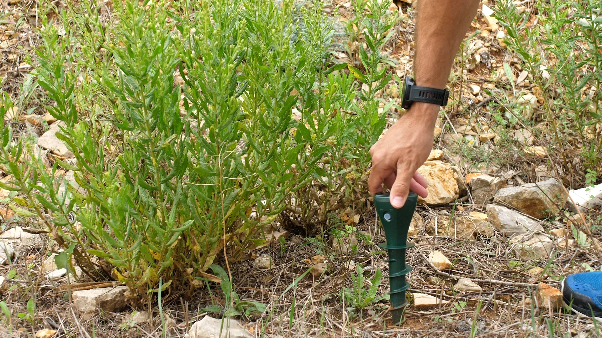 Solar-Maulwurfschreck "3 Modi" - 4